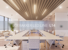 L14 thumbnail 1127 850 V4